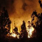 5c8a9f852400004205a3568c