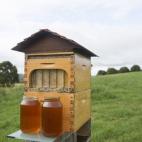 5c8a9f632300000401235b3c