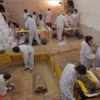 5c8aa01e2400006b054c1d23