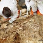 5c8aa01e2300000401235d48