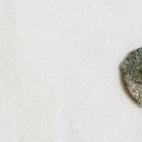 5c8aa0202000009e046f6990