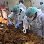 5c8aa0212500005806816849