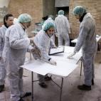 5c8aa0232500000d04c94dd4