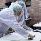 5c8aa0232400000a05a35896