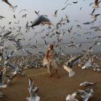 Un hombre alimenta gaviotas en una playa del mar Arábigo en Bombay.