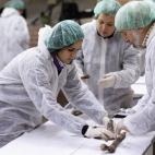 5c8aa0242500000d04c94dd7