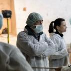 5c8aa0242500005206816857