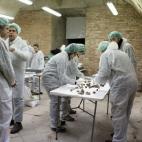 5c8aa024360000e01c6bbb5d