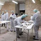 5c8aa0253b000072066c3c12