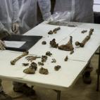 5c8aa025360000c81a6bbb5f