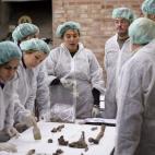 5c8aa025230000dd04235d62