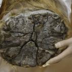 Yuka se conserva tan bien que mantiene los detalles de las pezuñas y el pelaje rojizo que la protegía del frío.