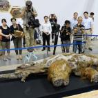 Yuka será expuesta en Japón hasta septiembre.