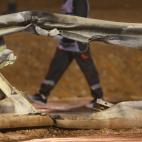 Terrible accidente de Grosjean en el Gran Premio de Bahrein