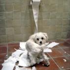 5c8aa0922400006d054c1e75