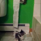 5c8aa092230000d504235ebe