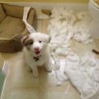 5c8aa0932400006d054c1e7d