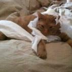 5c8aa094250000bd0581699d