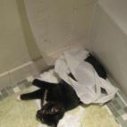 5c8aa096360000e01c6bbcb7