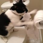 5c8aa098360000e01c6bbcb9