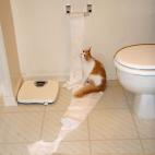 5c8aa0982300000401235ed2