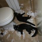 5c8aa0982500000d04c94f42