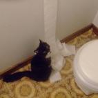 5c8aa0992300003000e6d676