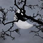 5c8aa0d33b000054066c3de6