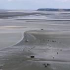 5c8aa1322300002f00e6d80f