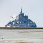 5c8aa13320000045046f6c98