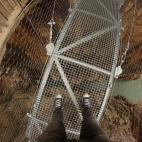 5c8aa11b2500000a06816b23