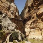 5c8aa11c2300005400e6d7d7