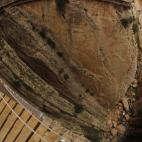 5c8aa11e360000ba1a6bbe0f