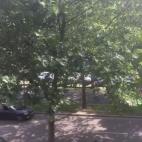 5c8a99b42300005300e6c66f