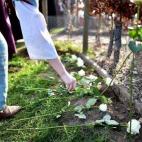 5c8aa1503b000037066c3f42