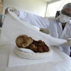 5c8aa14b2400006b054c2075