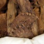 5c8aa14b2300003000e6d842