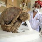 5c8aa14b2400004205a35baa