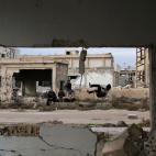 5c8a655b2400004205a3072e