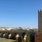 5c8aa1c03b000054066c405e