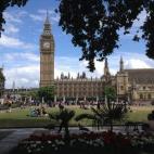 5c8aa1ca230000d504236216