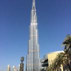 5c8aa1cf2300005300e6d99c