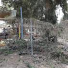 5c8a9a2920000043046f5d33