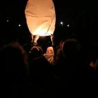 5c8b238b2400006d054cf461