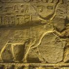 5c8a52152000009e046f02d7