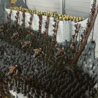 5c8abbc12000009d036fa496