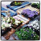 5c8a9ed5360000ba1a6bb80f