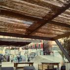 5c8a9ed9360000e01c6bb819