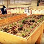 5c8a9edb2500001304c94a92