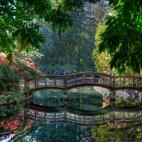 Las tradiciones inglesas, europeas y asiáticas se encuentran unidas en esta espectacular ciudad de Canadá. El paisaje natural de océano y montañas contrasta con la parte más urbana y cosmopolita, que ofrece los mejores restaurantes y tienda...